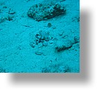 IMG_1856 - "Saint Cardinal" (near Koror), Palau