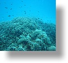 IMG_1859 - "Saint Cardinal" (near Koror), Palau