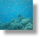 IMG_1863 - "Saint Cardinal" (near Koror), Palau