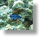 IMG_1864 - "Saint Cardinal" (near Koror), Palau