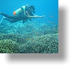 IMG_1867 - "Saint Cardinal" (near Koror), Palau