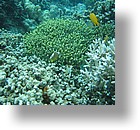 IMG_1869 - "Saint Cardinal" (near Koror), Palau