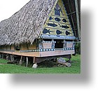 IMG_1878 - Aimeliik Bai, Babeldaob, Palua