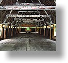 IMG_1909 - Arai Bai, Babeldaob, Palua