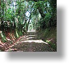 IMG_1920 - Arai Bai, Babeldaob, Palua