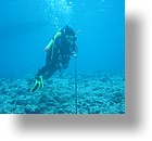 IMG_1929 - "Blue Holes", Palau