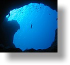 IMG_1943 - "Blue Holes", Palau