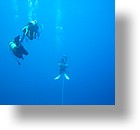 IMG_1951 - "Blue Holes", Palau