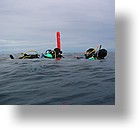 IMG_1953 - "Blue Holes", Palau