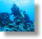 IMG_1977 - "Blue Corner", Palau