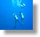 IMG_2009 - "Blue Corner", Palau