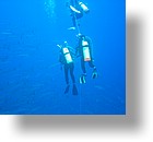 IMG_2010 - "Blue Corner", Palau