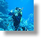 IMG_2040 - "Ngemelis Coral Garden", Palau