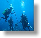 IMG_2042 - "Ngemelis Coral Garden", Palau