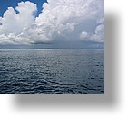 IMG_2045 - "Blue Holes & Blue Corner", Palau