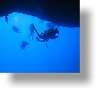 IMG_2049 - "Blue Holes & Blue Corner", Palau