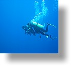 IMG_2052 - "Blue Holes & Blue Corner", Palau