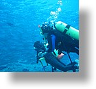 IMG_2055 - "Blue Holes & Blue Corner", Palau