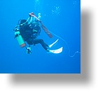 IMG_2057 - "Blue Holes & Blue Corner", Palau