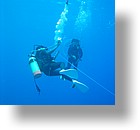 IMG_2058 - "Blue Holes & Blue Corner", Palau