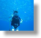 IMG_2060 - "Blue Holes & Blue Corner", Palau