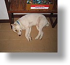 IMG_2090 - Antelope Divers, Malakal, Palau