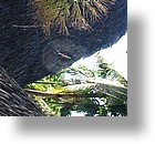 IMG_2103 - Palau Plantation Resort, Koror