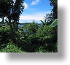 IMG_2106 - Malakal, Palau