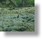 IMG_2117 - Palau International Coral Reef Center